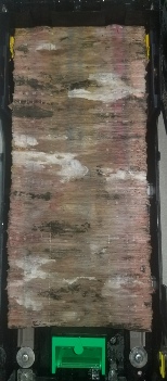 Mold Inspectors Tamarac